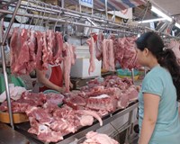 Giá heo hơi hôm nay ngày 24/1 Giá heo ổn định ở cả ba miền mức giá dao động từ 78.000 - 84.000 đồng/kg 