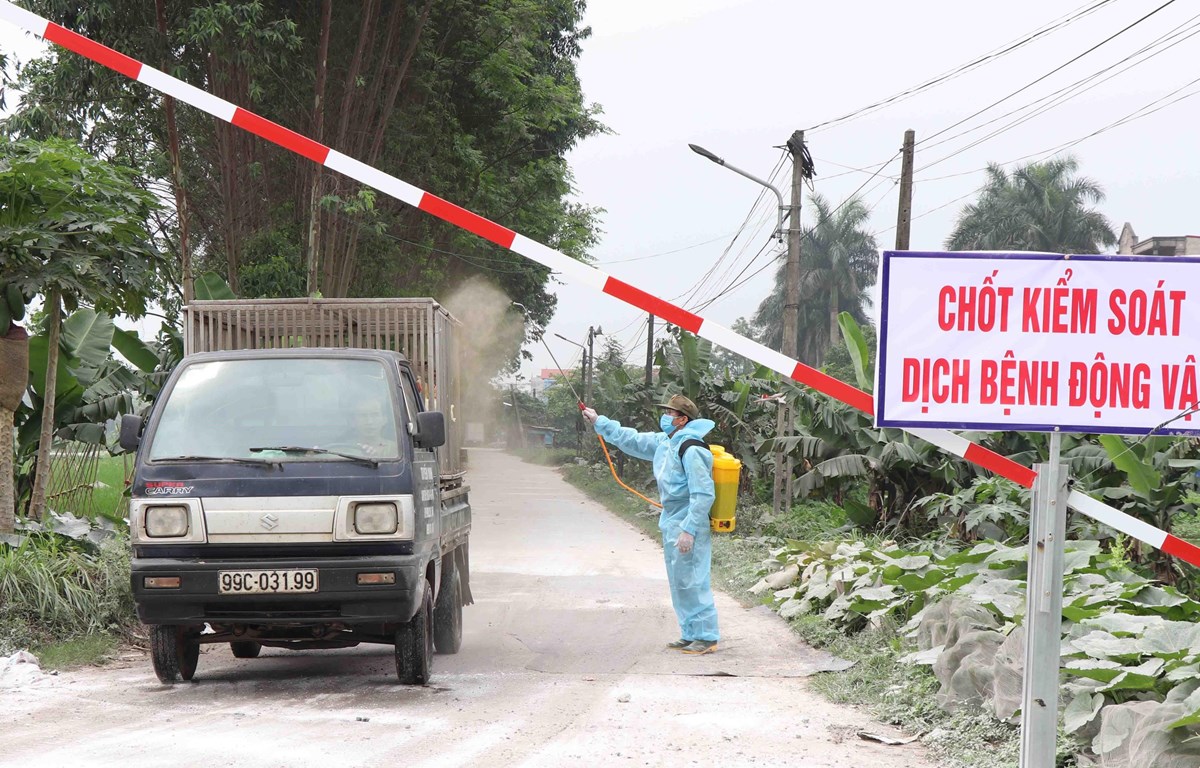 Hà Nội đồng bộ các giải pháp phòng, chống dịch bệnh trên địa bàn Thành phố