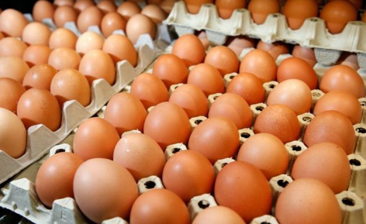 Ban hành hạn ngạch thuế quan nhập khẩu muối, trứng gia cầm năm 2020