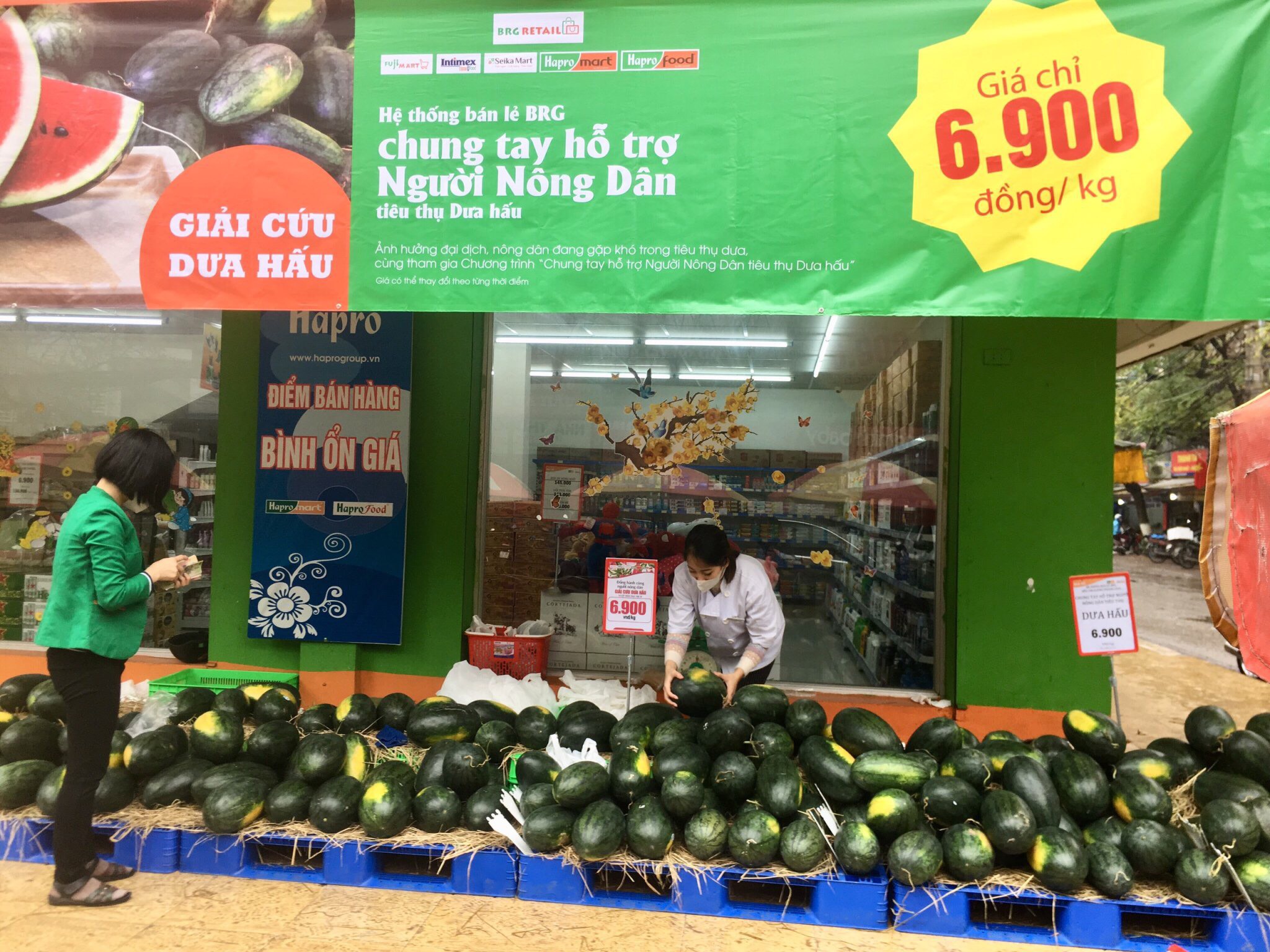 Hệ thống bán lẻ BRG chung tay hỗ trợ người nông dân tiêu thụ 200 tấn dưa hấu