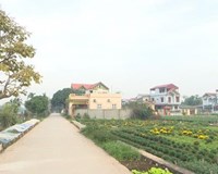 Thường Tín Hà Nội Đẩy mạnh phát triển kinh tế - xã hội để về đích NTM trong năm 2020 