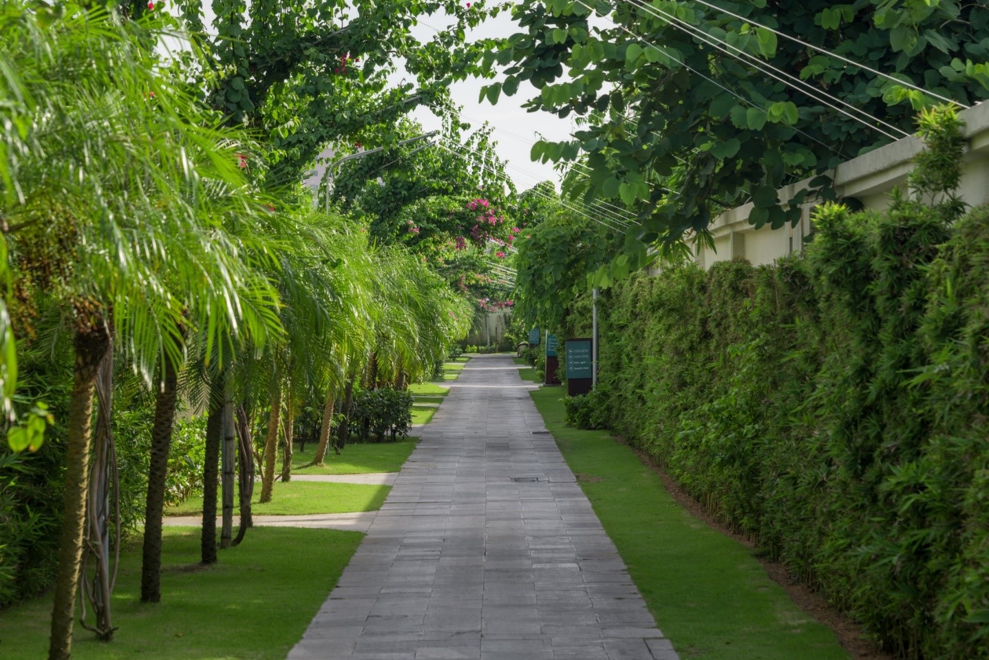 Đá hạ tầng xây dựng - triển vọng phát triển bùng nổ