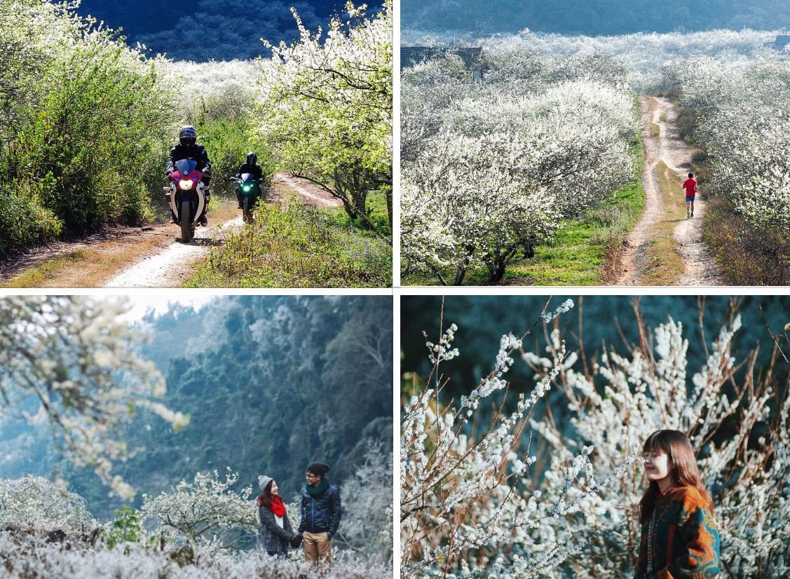 Những trải nghiệm độc đáo chỉ có khi đi du lịch mùa xuân