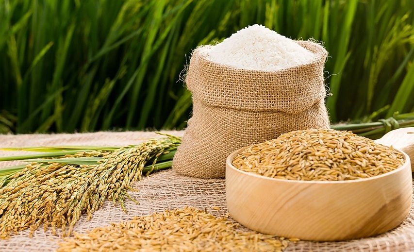 Tháng 12020 Xuất khẩu gạo giảm gần 40% so với cùng kì năm 2019