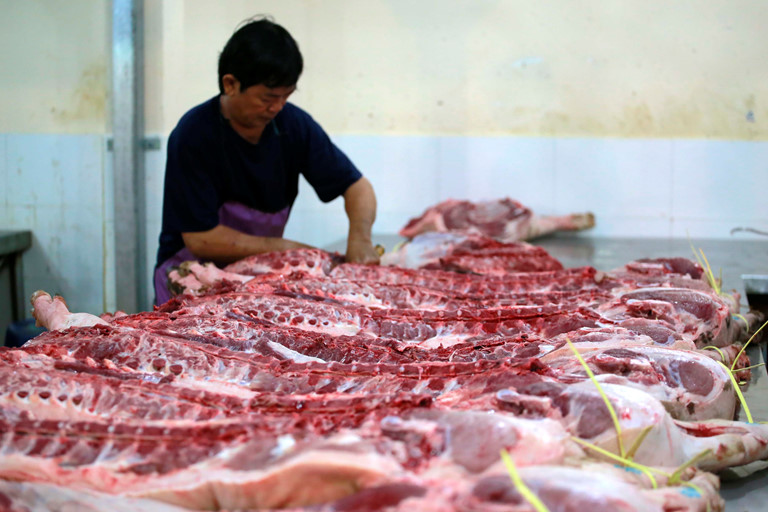 Giá heo hơi hôm nay 272 Giá heo miền Nam bất ngờ tăng mạnh