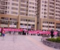 Hải Phát từng dính nhiều bê bối 