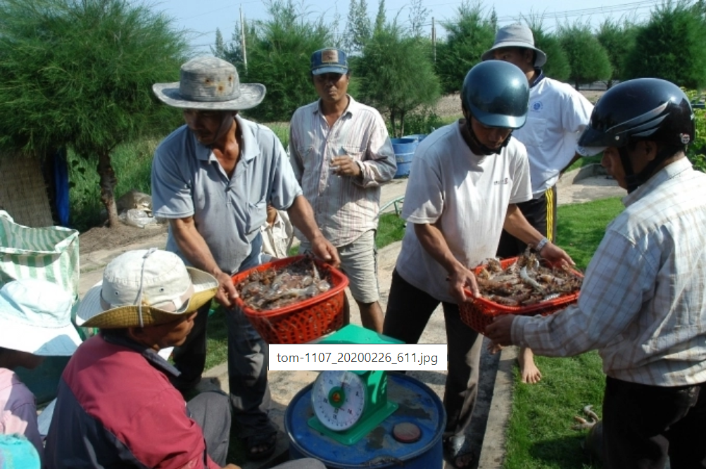 Xuất khẩu thủy sản giảm mạnh trong quý I, song vẫn có cơ hội