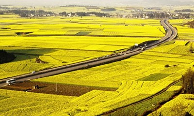 Bộ Tài chính đề xuất tiếp tục miễn thuế sử dụng đất nông nghiệp đến hết năm 2025