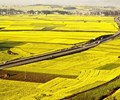 Bộ Tài chính đề xuất tiếp tục miễn thuế sử dụng đất nông nghiệp đến hết năm 2025 