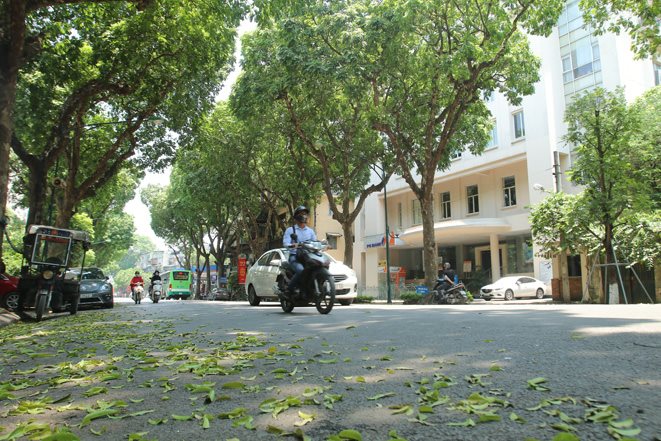 Dự báo thời tiết ngày mai 103 Hà Nội và các khu vực trên cả nước