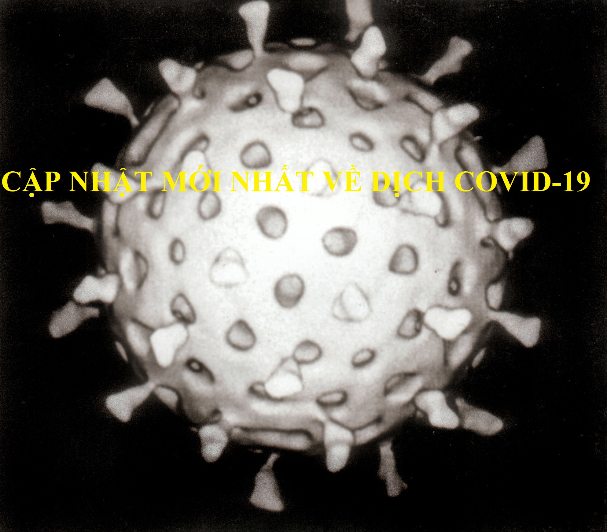 Cập nhật mới nhất dịch COVID-19 27 nước EU đều có ca nhiễm, thêm nhiều quốc gia ghi nhận ca nhiễm đầu tiên