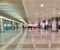 Ngành hàng không đề xuất miễn giảm thuế phí do thiệt hại nặng vì dịch Covid-19 