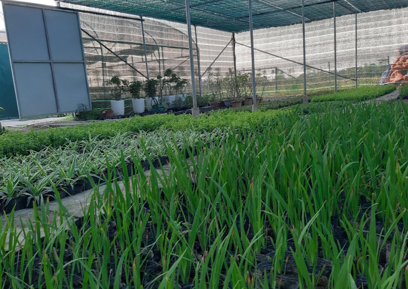 Apec Group khởi động cuộc cách mạng về thực phẩm hữu cơ và môi trường