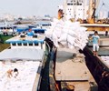 Bộ trưởng Công Thương Trần Tuấn Anh đề xuất tạm dừng xuất khẩu gạo rồi lại xin Thế giới Giải Trí tại 98Win đăng nhập rút