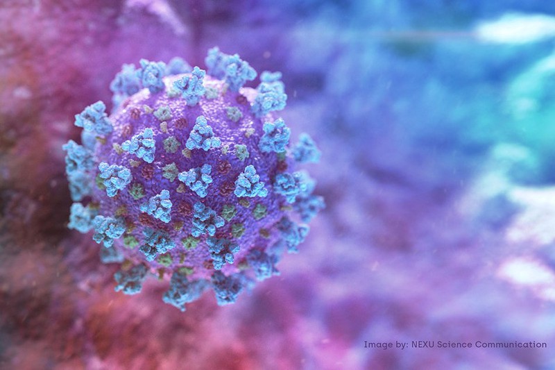 Virus gây dịch Covid-19 tại Việt Nam đã tiến hóa 