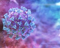 Virus gây dịch Covid-19 tại Việt Nam đã tiến hóa 