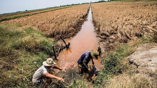 Bộ KHĐT kiến nghị Chính phủ khẩn cấp đầu tư công trình chống hạn mặn ở miền Tây