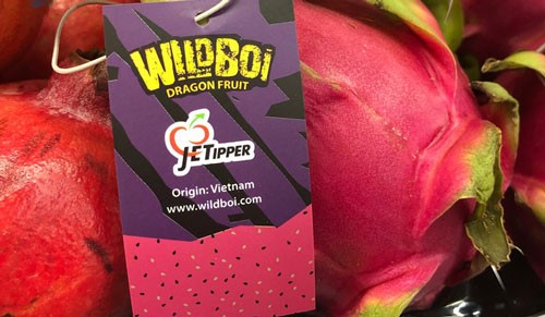 Thanh long ruột đỏ Việt Nam được người tiêu dùng Australia đón nhận