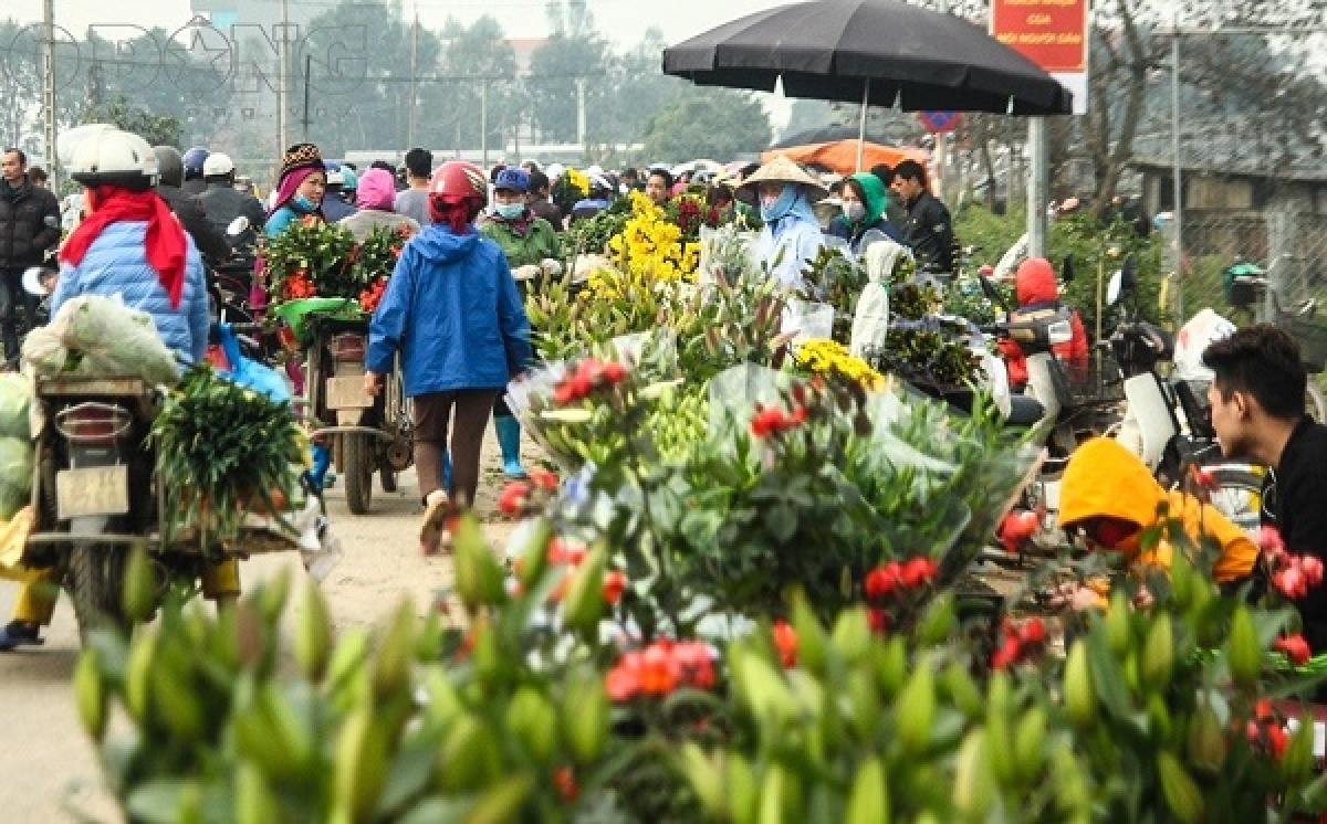 Bộ Y tế thông báo khẩn Tìm tất cả người từng đến chợ hoa Mê Linh