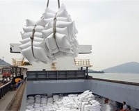 Đăng kí xuất khẩu gạo lúc nửa đêm, doanh nghiệp kêu cứu Chính phủ