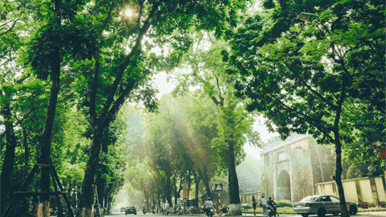 Dự báo thời tiết ngày mai 164 Hà Nội và các khu vực trên cả nước