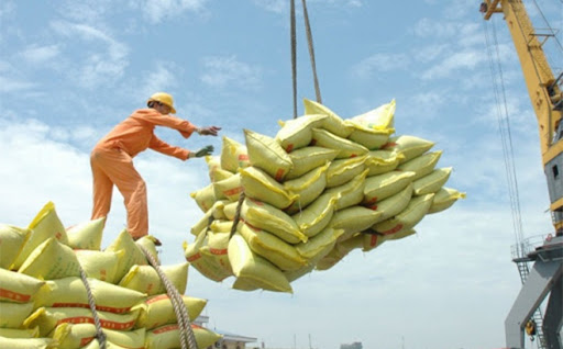 Cơ hội cho xuất khẩu gạo Việt Nam
