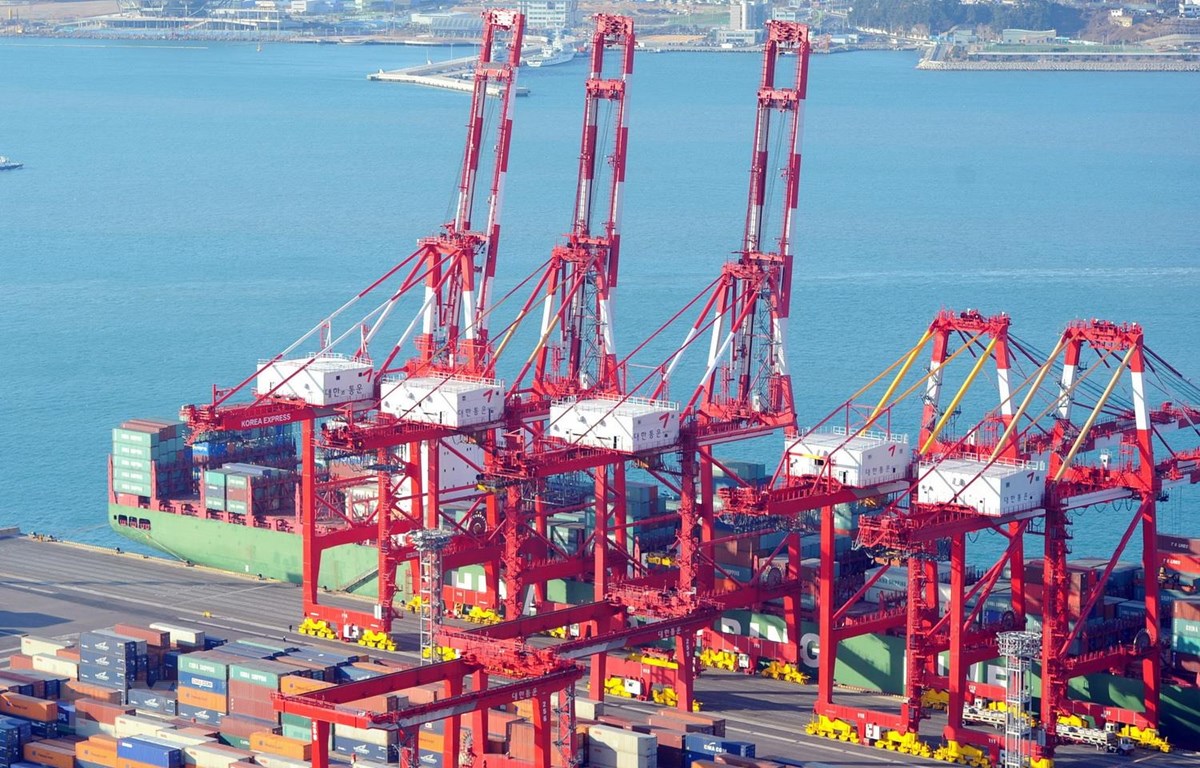 Xuất khẩu của Hàn Quốc đầu tháng 5 giảm gần 50%