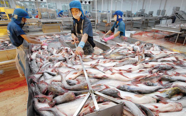 Công ty CP Hùng Vương (HVG) chính thức bị tạm ngừng giao dịch kể từ 1505