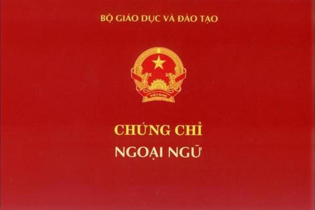 Những trường nào được tổ chức thi và cấp chứng chỉ ngoại ngữ