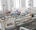 Đà Nẵng: Công bố nguyên nhân khiến 230 người bị ngộ độc thực phẩm