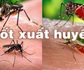 Hà Nội xuất hiện hai ổ dịch sốt xuất huyết có nguy cơ bùng phát