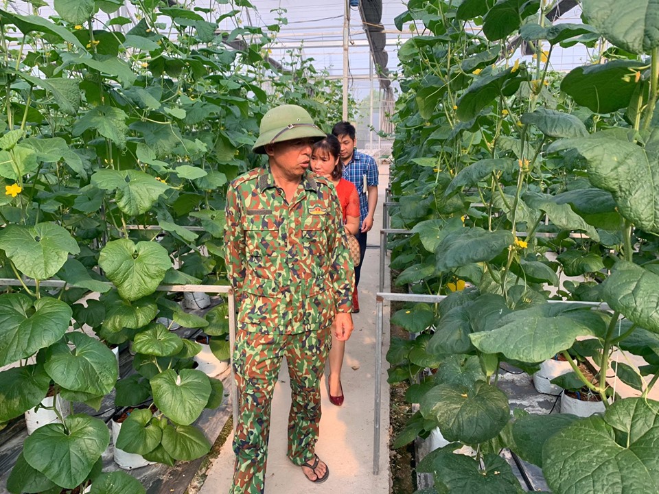 Thanh Trì (Hà Nội) Đẩy mạnh xây dựng mô hình nông nghiệp an toàn