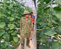 Thanh Trì Hà Nội Đẩy mạnh xây dựng mô hình nông nghiệp an toàn 