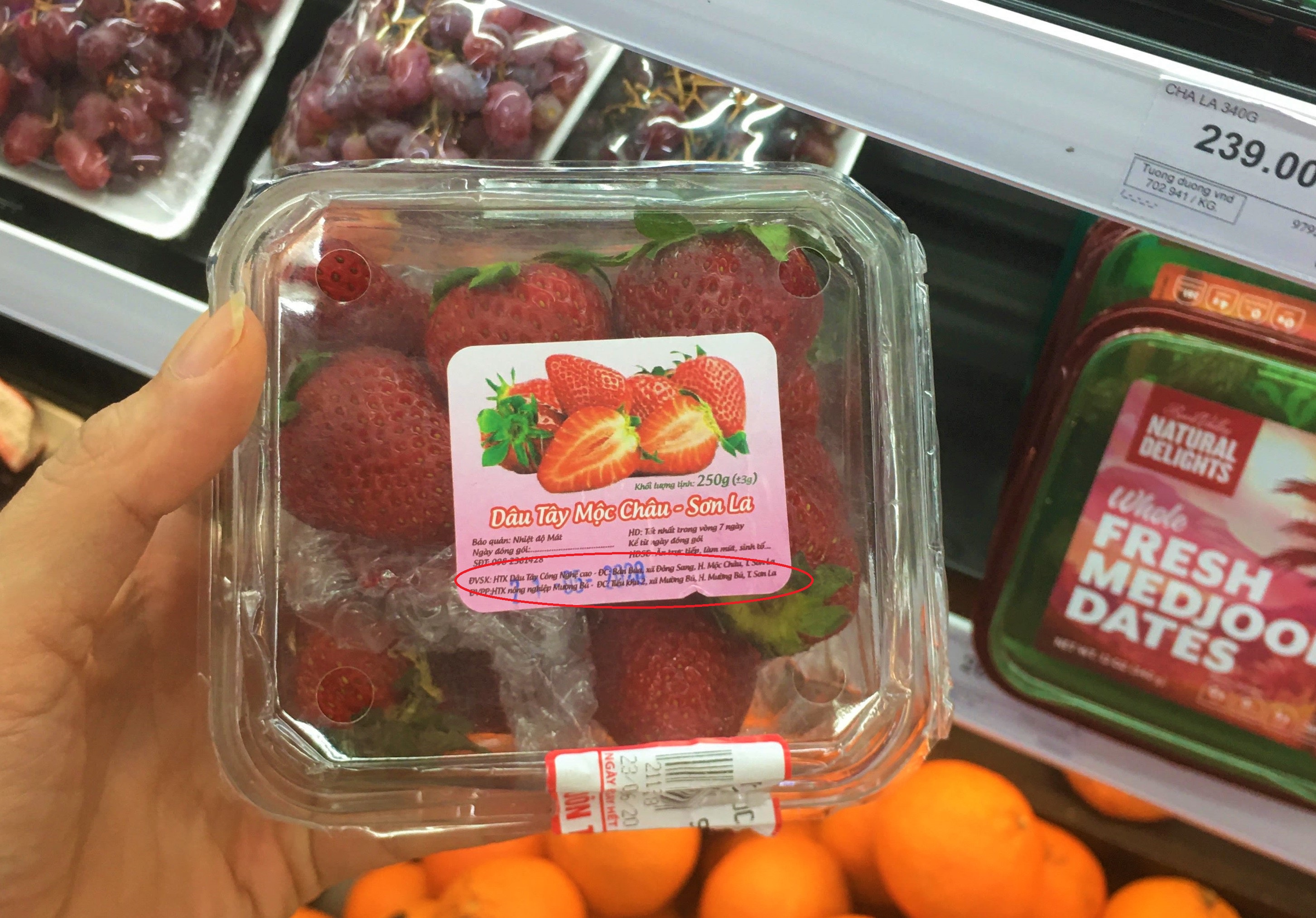 Người tiêu dùng nghi ngờ nguồn gốc dâu tây Mộc Châu bán tại BigC Thăng Long