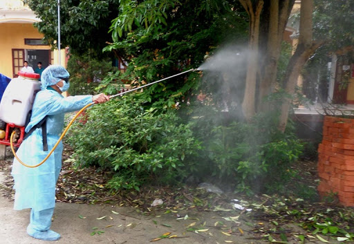 Tăng cường phòng chống dịch bệnh do vi rút Zika, sốt xuất huyết