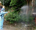Tăng cường phòng chống dịch bệnh do vi rút Zika sốt xuất huyết 