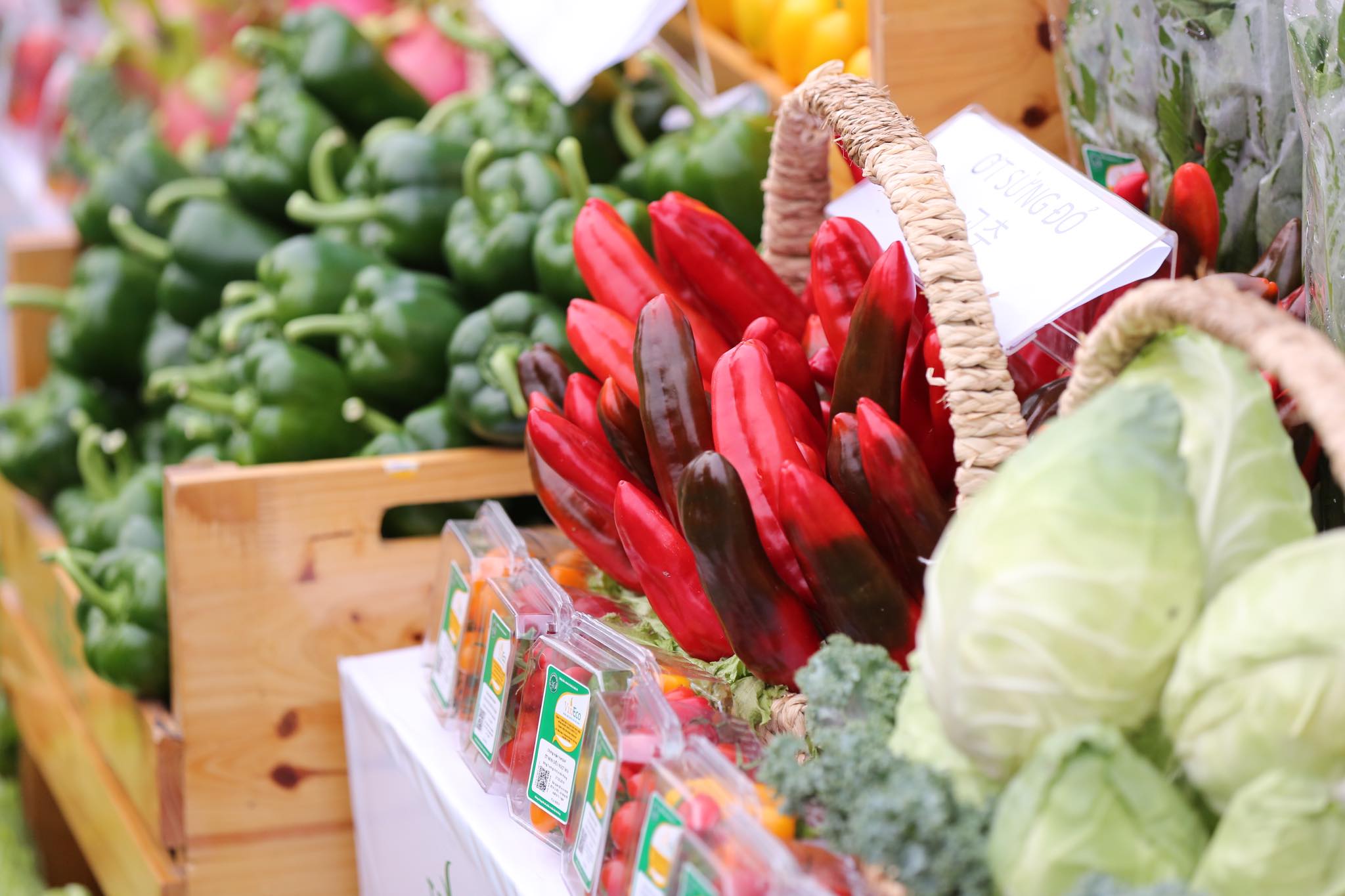 Hà Nội Chỉ số giá tiêu dùng tháng 5 giảm 0,25%