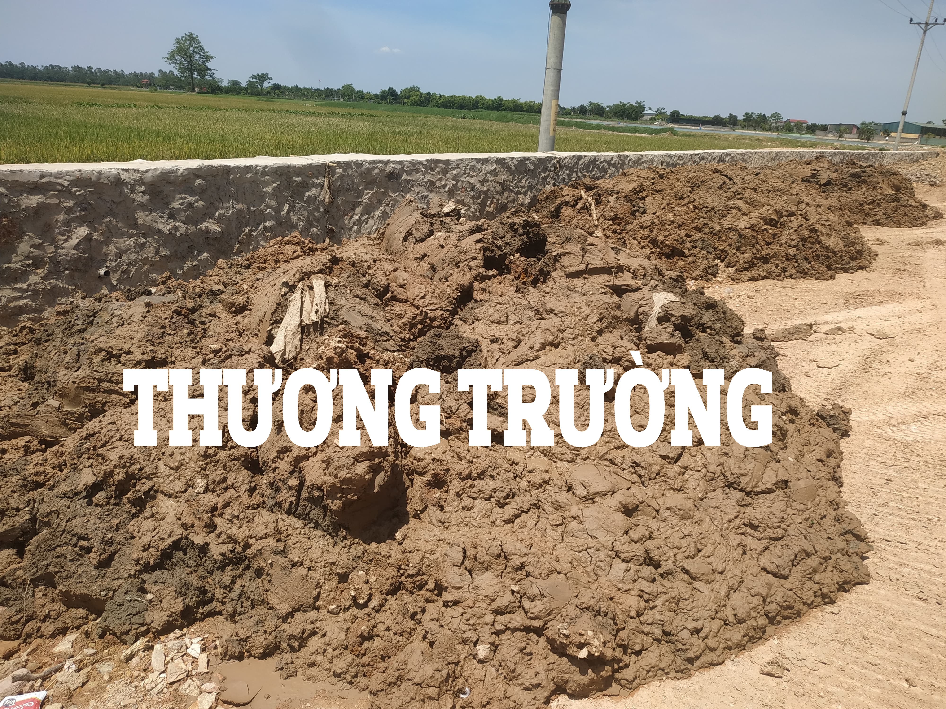 Công ty CP Xây dựng cầu đường Hà Nội có hay không việc rút ruột công trình tại dự án nâng cấp tuyến đường tỉnh lộ 428b