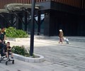 Dự án Hinode City Chưa thẩm định phương án PCCC đã cho dân vào ở 