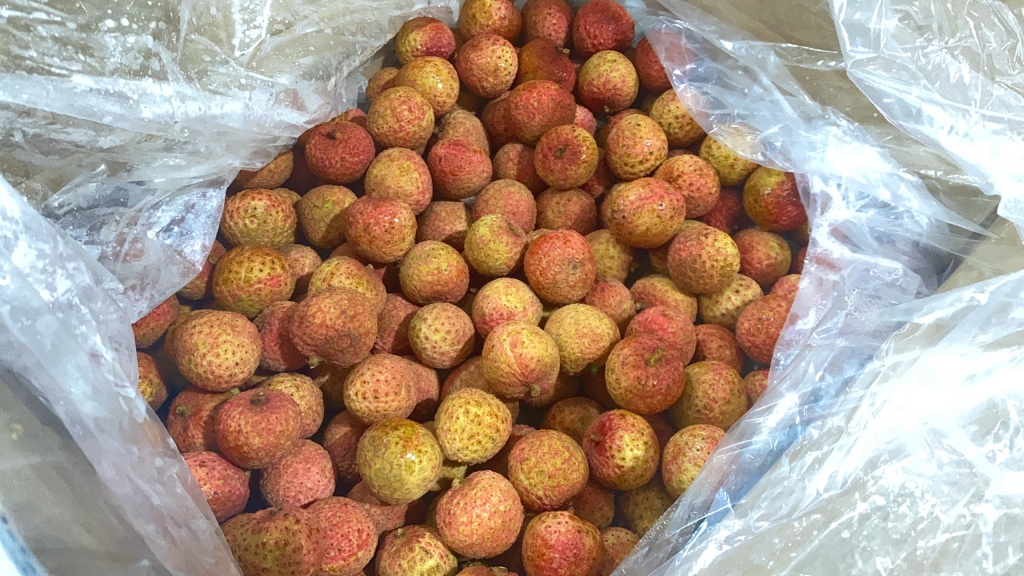 2 tấn vải thiều Việt Nam nhanh chóng cháy hàng trên đất Nhật