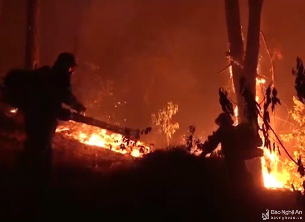 Hàng trăm người trắng đêm, căng mình dập lửa cứu rừng thông ở Nghệ An