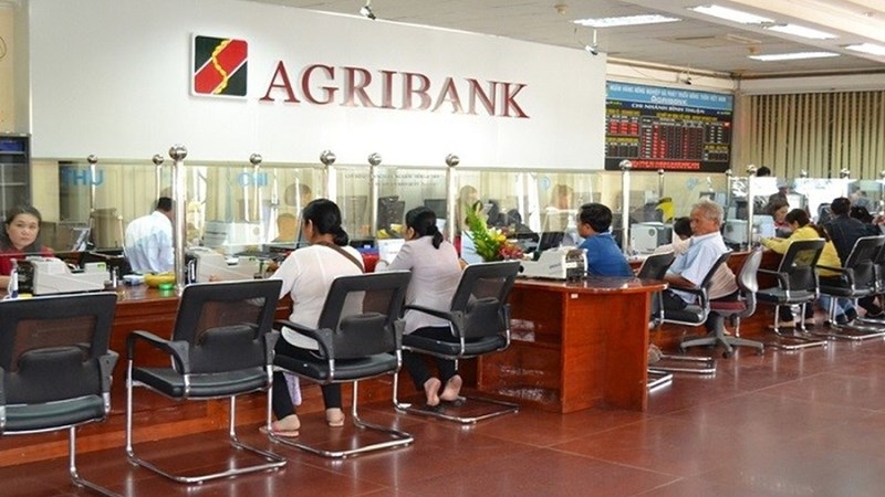 Agribank Chi nhánh Hà Nội thua kiện, mất trắng trên 62 tỷ đồng