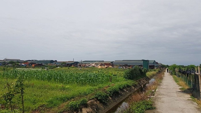 Hà Nội Để xảy ra vi phạm về đất đai, Chủ tịch xã Song Phượng bị kỷ luật