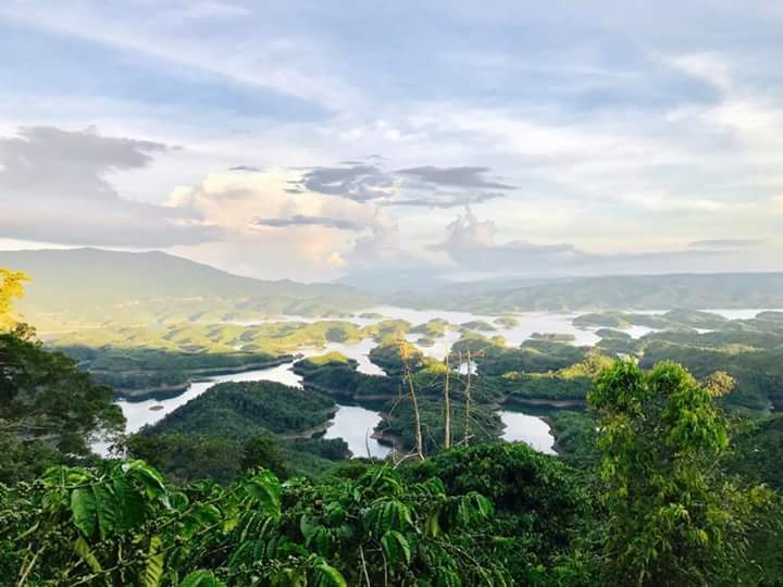 Nhiều vi phạm trong quản lý, sử dụng, thanh quyết toán nguồn tiền chi trả dịch vụ môi trường rừng