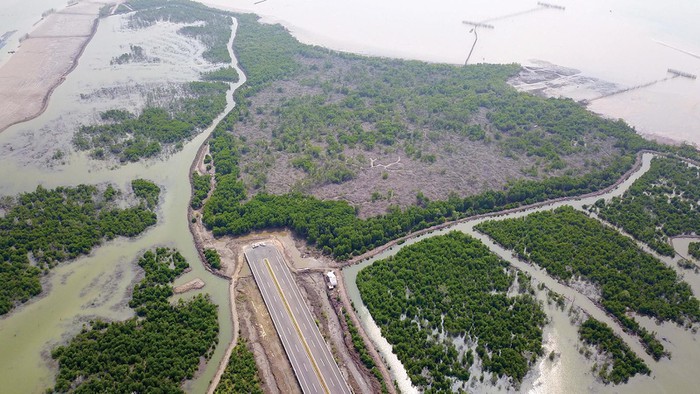 San lấp mặt bằng khi chưa được giao đất Công ty CPTM Địa ốc Việt Hân bị phạt 120 triệu đồng 
