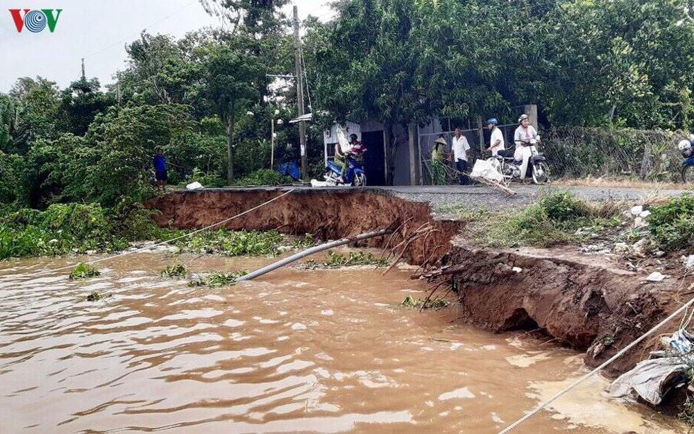 An Giang Sạt lở nghiêm trọng bờ sông Hậu, khẩn cấp di dời nhiều hộ dân