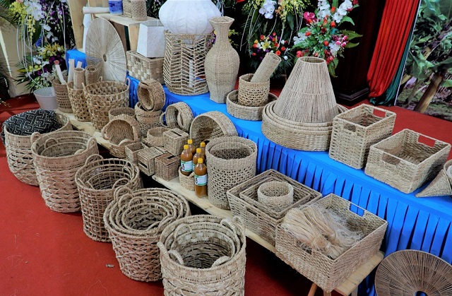 Khánh thành Hợp tác xã sản xuất sợi chuối đầu tiên tại Việt Nam