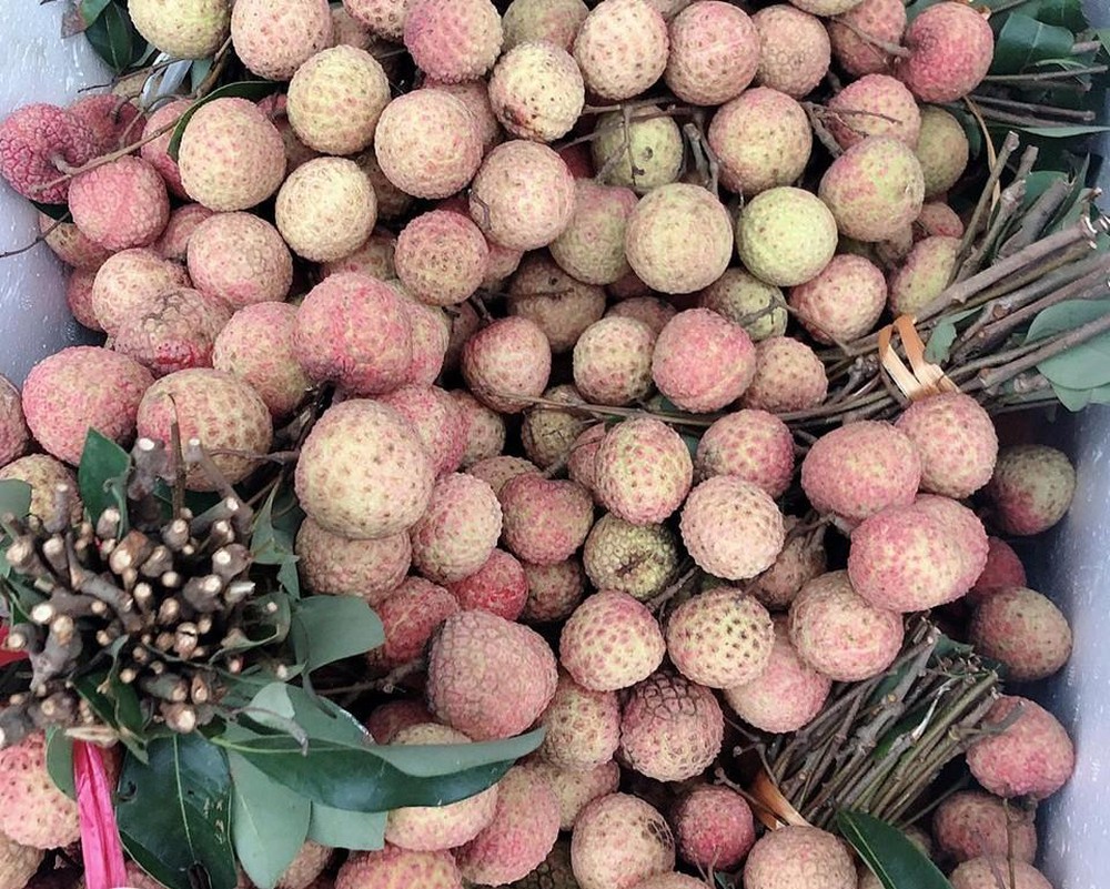 Bắc Giang thu 6.900 tỷ đồng từ vụ vải thiều 2020