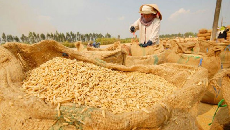 Giá gạo hôm nay 227 Giữ đà giảm tại thị trường trong nước