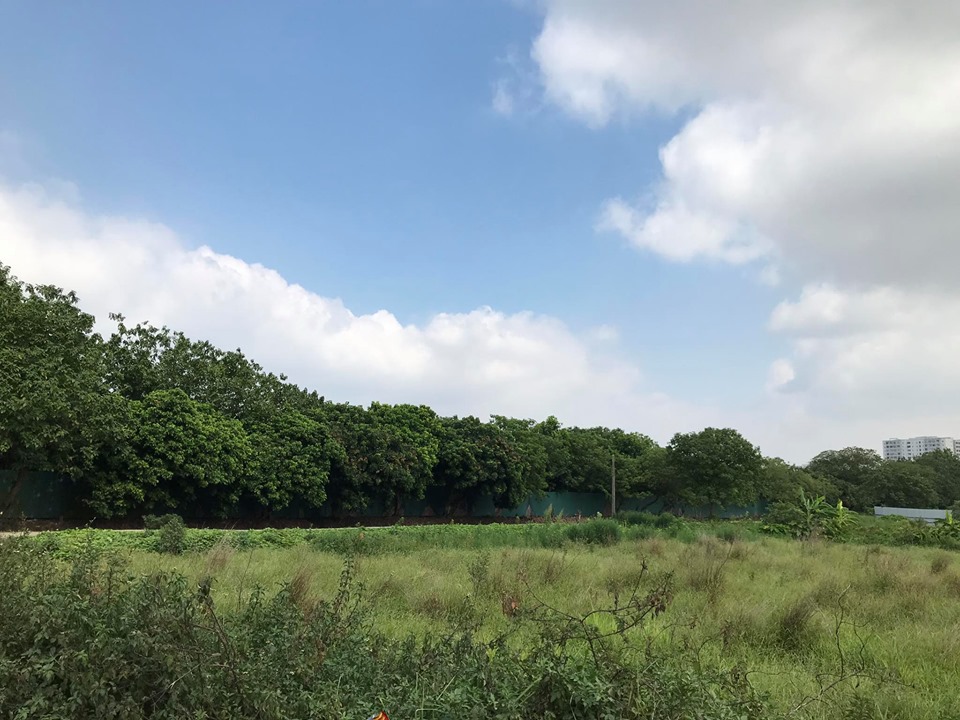 Hà Nội Vướng mắc trong công tác giải phóng mặt bằng tại dự án nhà ở xã hội Thượng Thanh bao giờ được tháo gỡ